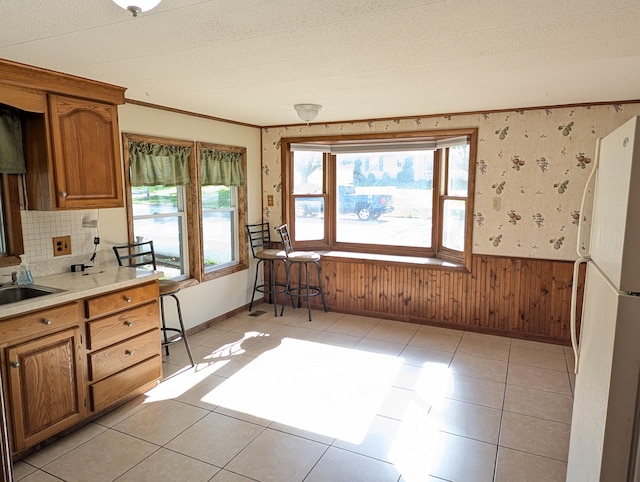602 Fourth St, Ludington, MI 49431 - kitchen with freestanding refrigerator, wainscoting, a sink, light countertops, and baseboards