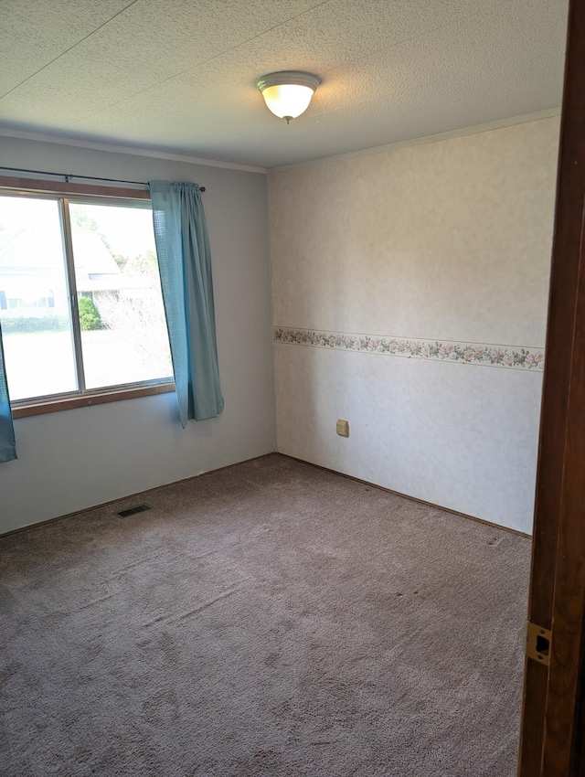 602 Fourth St, Ludington, MI 49431 - unfurnished room featuring carpet and a textured ceiling