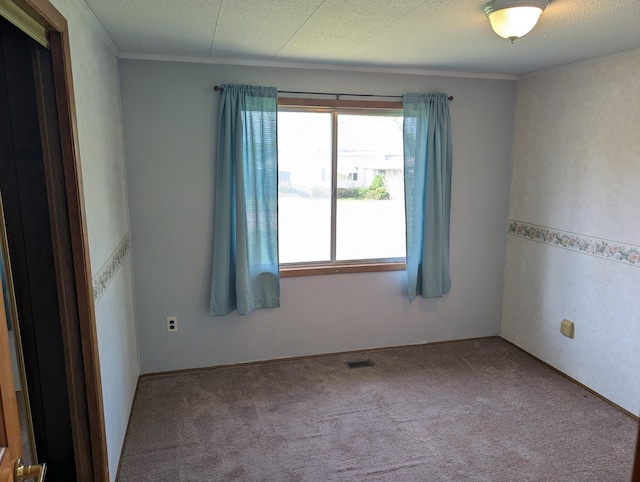 602 Fourth St, Ludington, MI 49431 - spare room with crown molding and carpet flooring