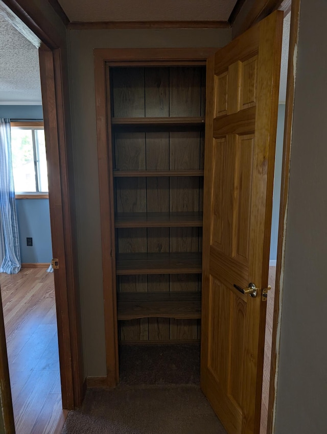 602 Fourth St, Ludington, MI 49431 - view of closet