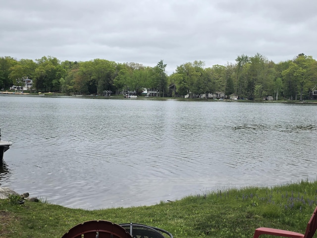 5022 N Ford Lake Rd, Fountain, MI 49410 - water view featuring a forest