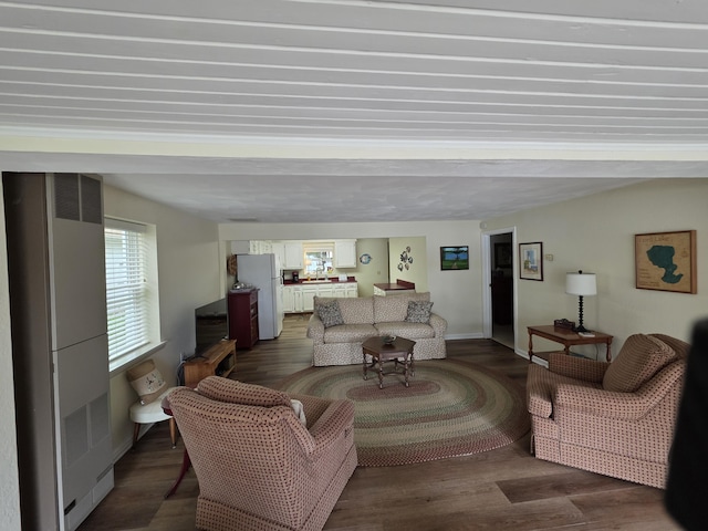 5022 N Ford Lake Rd, Fountain, MI 49410 - living room with a heating unit and dark wood-style flooring