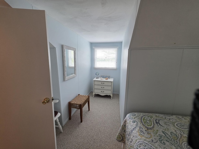 5022 N Ford Lake Rd, Fountain, MI 49410 - bedroom with carpet flooring