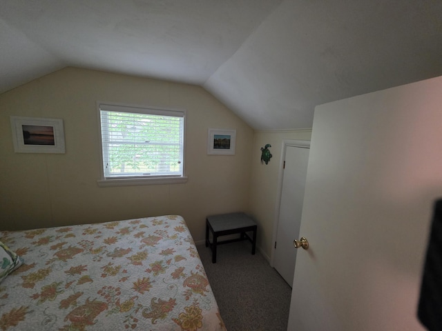 5022 N Ford Lake Rd, Fountain, MI 49410 - carpeted bedroom featuring lofted ceiling