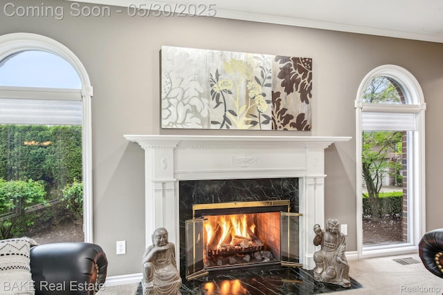 966 Mcdonald Dr, Northville, MI 48167 - detailed view of a fireplace, ornamental molding, carpet, and baseboards