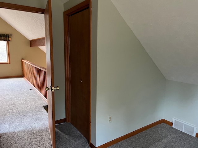 11055 Kopko Trl, Roscommon, MI 48653 - additional living space featuring carpet floors, vaulted ceiling, baseboards, and a textured ceiling