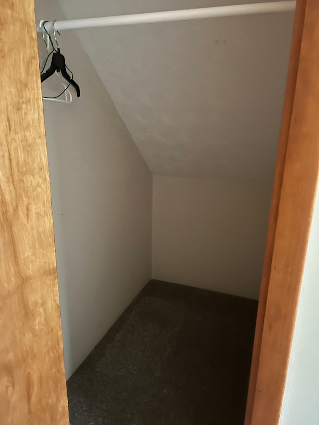 11055 Kopko Trl, Roscommon, MI 48653 - walk in closet with lofted ceiling