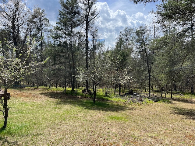 11055 Kopko Trl, Roscommon, MI 48653 - view of wooded area