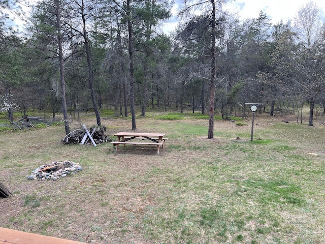 11055 Kopko Trl, Roscommon, MI 48653 - view of green lawn featuring a fire pit