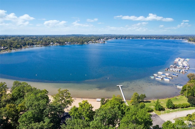 3819 Hazelett Dr, Waterford, MI 48328 - water view