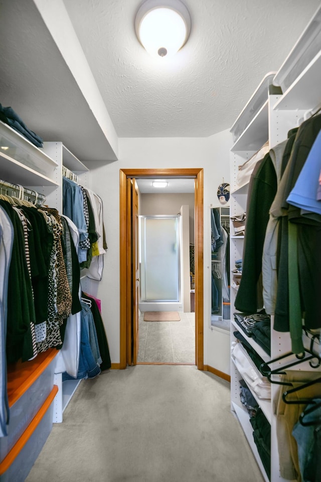 838 Able Rd, Buchanan, MI 49107 - walk in closet with carpet flooring