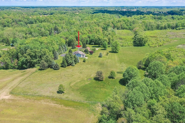 838 Able Rd, Buchanan, MI 49107 - aerial view of a heavily wooded area