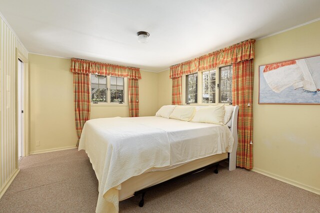 8432 S Dunns Farm Rd, Maple City, MI 49664 - bedroom featuring carpet floors, baseboards, and crown molding