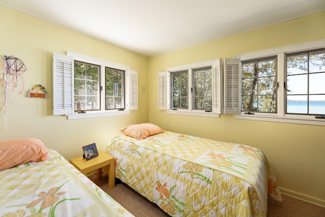 8432 S Dunns Farm Rd, Maple City, MI 49664 - carpeted bedroom with baseboards