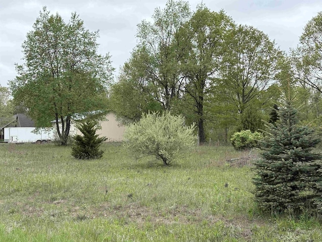 1057 Bonanza Ln 1053, 1055, Weidman, MI 48893