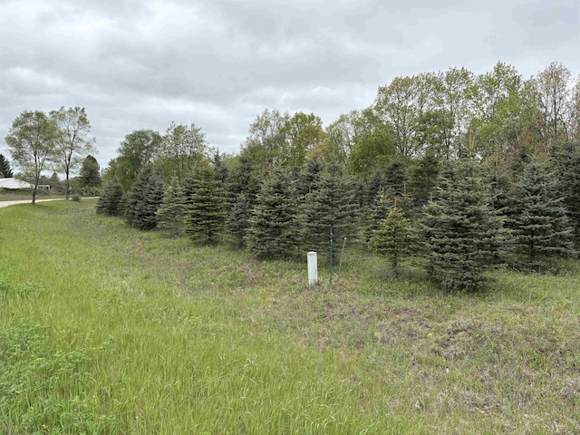 1057 Bonanza Ln 1053, 1055, Weidman, MI 48893