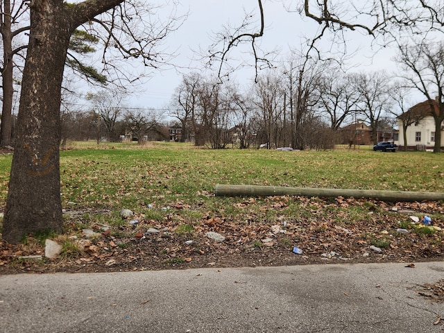 12905 Brooks St, Detroit, MI 48215