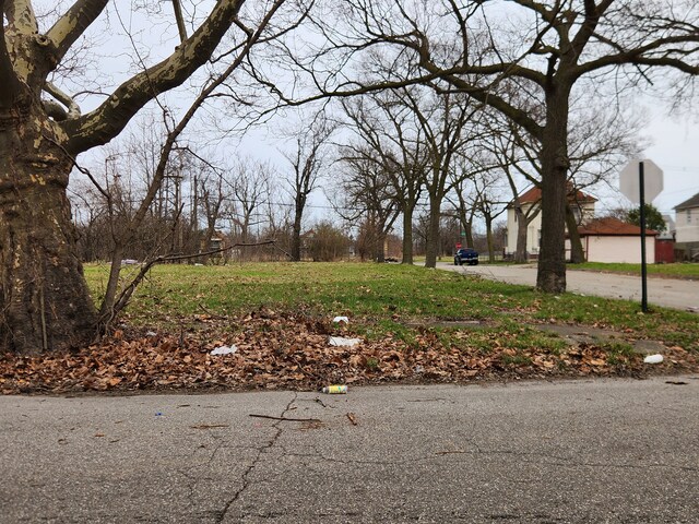 12905 Brooks St, Detroit, MI 48215