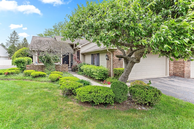 view of property hidden behind natural elements featuring brick siding, asphalt driveway, a front lawn, and a garage