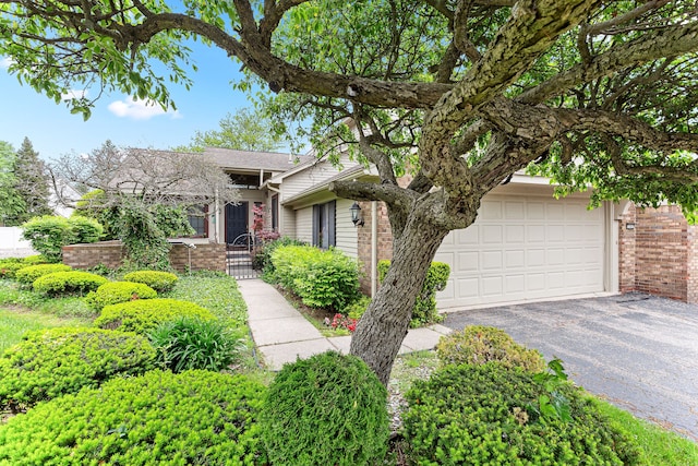 view of property hidden behind natural elements with brick siding and asphalt driveway