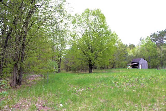 3720 W County Line Rd, Buckley, MI 49620