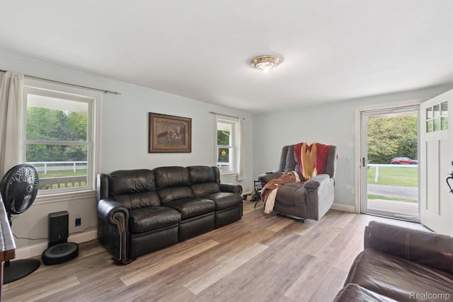 5160 N Milford Rd, Highland, MI 48356 - living area featuring light wood-type flooring, healthy amount of natural light, and baseboards