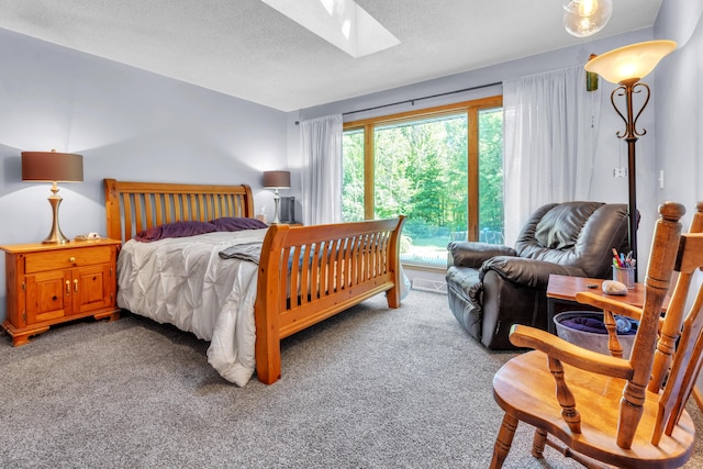 65505 M 43, Bangor, MI 49013 - carpeted bedroom featuring a skylight and a textured ceiling