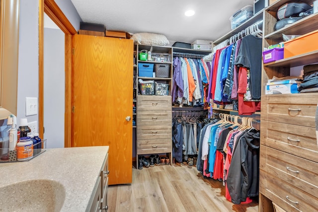 65505 M 43, Bangor, MI 49013 - spacious closet with wood finished floors