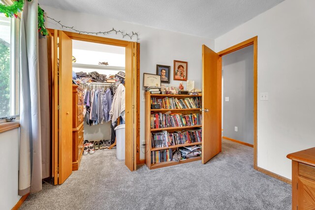 65505 M 43, Bangor, MI 49013 - corridor featuring carpet floors, a textured ceiling, and baseboards