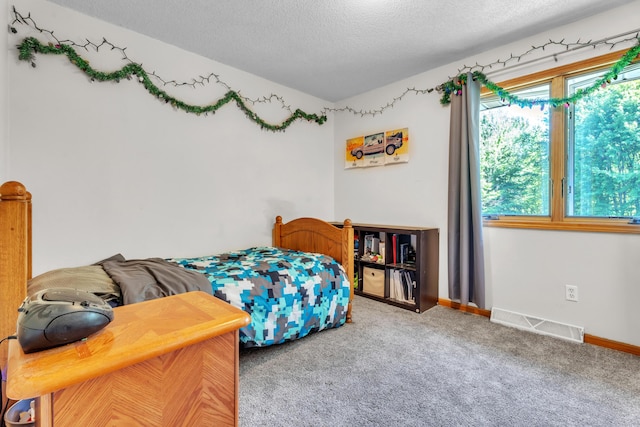 65505 M 43, Bangor, MI 49013 - bedroom with a textured ceiling, carpet flooring, and baseboards