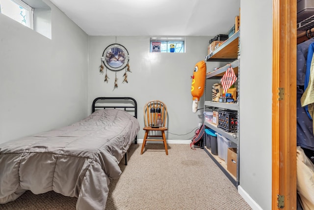 65505 M 43, Bangor, MI 49013 - bedroom featuring carpet floors and baseboards