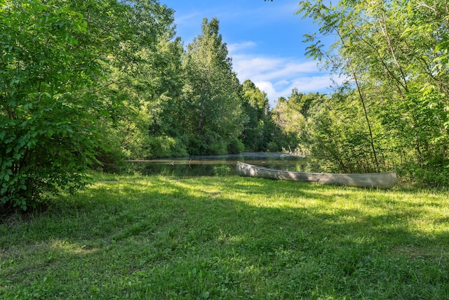 65505 M 43, Bangor, MI 49013 - view of yard featuring a water view and a forest view