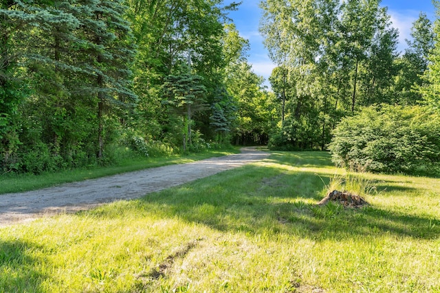 65505 M 43, Bangor, MI 49013 - view of road with a view of trees