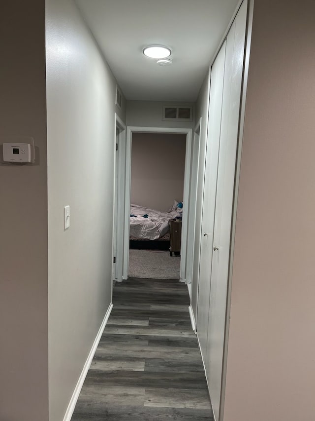 4925 E 10 Mile Rd Unit 5, Warren, MI 48091 - hallway with dark wood-type flooring and baseboards
