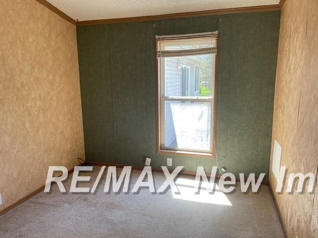 1944 S M 18 Hwy, Gladwin, MI 48624 - carpeted empty room featuring ornamental molding, a textured ceiling, and a textured wall