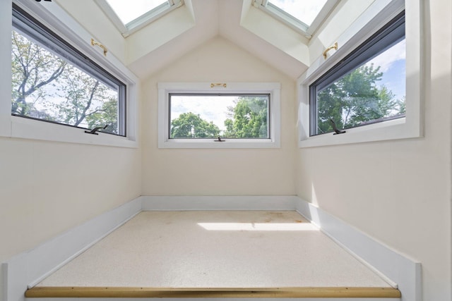 1054 Ferdon Rd, Ann Arbor, MI 48104 - spare room featuring plenty of natural light, a skylight, vaulted ceiling, and baseboards