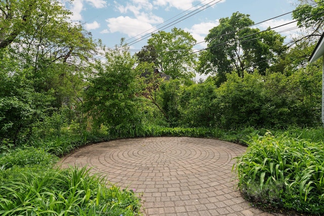 1054 Ferdon Rd, Ann Arbor, MI 48104 - view of property's community