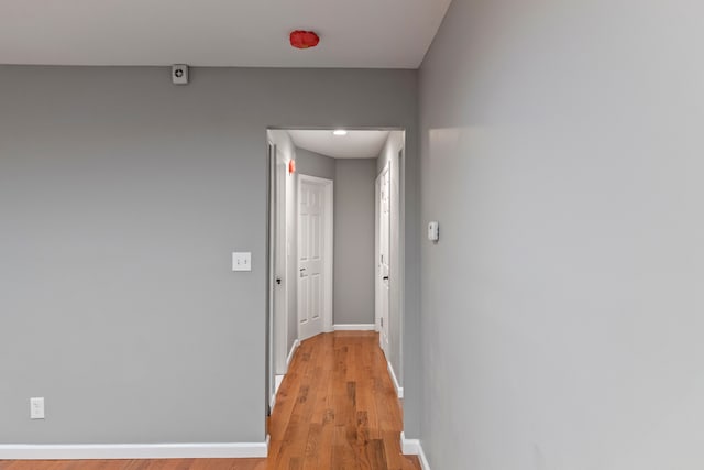 20172 Stotter St, Detroit, MI 48234 - corridor featuring light wood-type flooring and baseboards