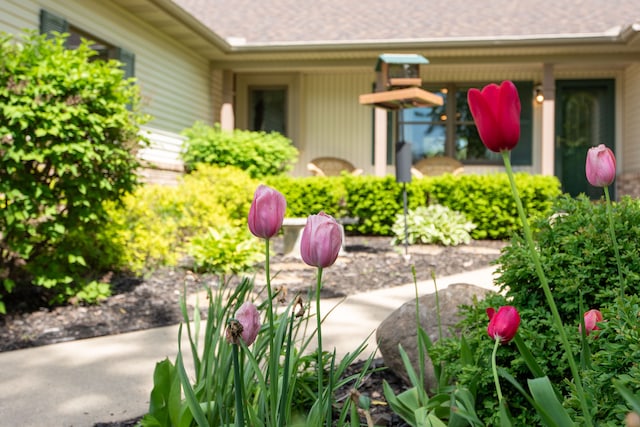 906 Village Dr, Davison, MI 48423 - view of patio