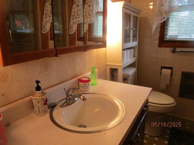 260 W Saint Joseph St, Coloma, MI 49038 - bathroom with vanity and toilet