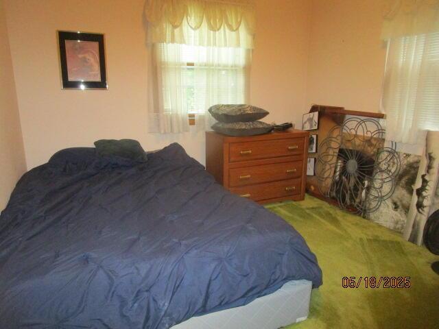 260 W Saint Joseph St, Coloma, MI 49038 - bedroom featuring carpet flooring