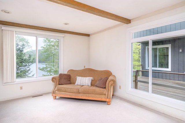 11290 Alpine Rd, Canadian Lakes, MI 49346 - living area with healthy amount of natural light, beamed ceiling, and carpet