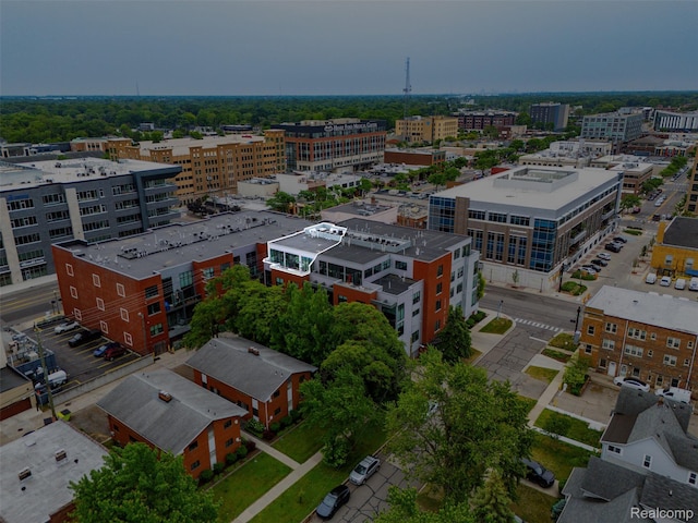 100 N Center St Unit 404, Royal Oak, MI 48067 - view of urban area