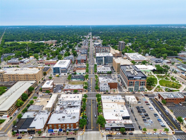 100 N Center St Unit 404, Royal Oak, MI 48067 - aerial view