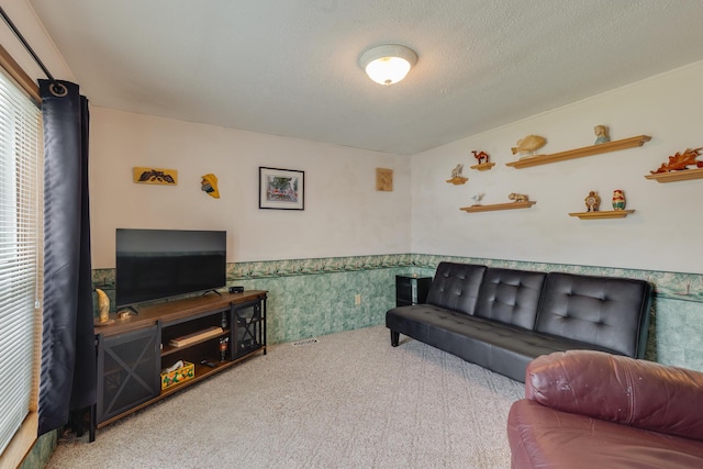 305 Oak Ridge St, Mason, MI 48854 - carpeted living room with a wainscoted wall