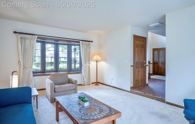18851 Capitol Dr, Southfield, MI 48075 - living room featuring carpet flooring and baseboards