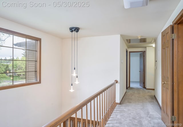 18851 Capitol Dr, Southfield, MI 48075 - hallway featuring healthy amount of natural light and light carpet