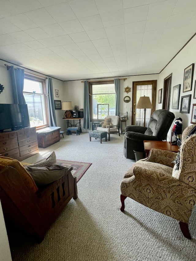 404 W Court St, Ludington, MI 49431 - view of carpeted living room