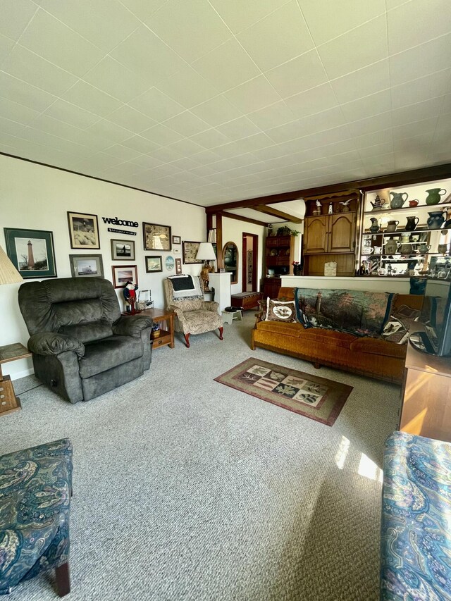 404 W Court St, Ludington, MI 49431 - living room featuring carpet flooring