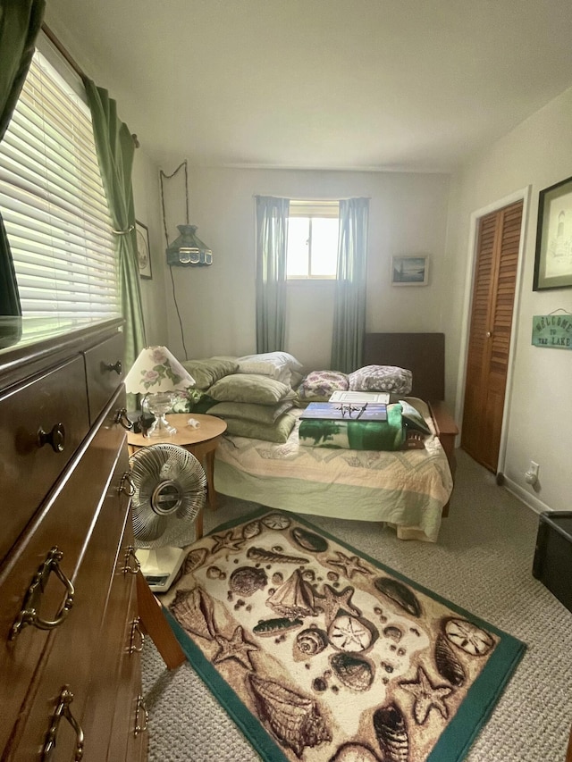 404 W Court St, Ludington, MI 49431 - carpeted bedroom featuring a closet